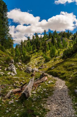 Dolomitler, yüksek tepeler ve yemyeşil çayırlarda soluk soluğa dolanan dar yaya patikaları. Yürüyüşçüler ve doğa severler için mükemmel bir yer..