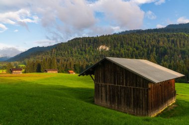 Büyüleyici ahşap dağ evleri Mittenwald, Bavyera 'da yemyeşil çayırların arasına kurulmuş, büyüleyici arka planda yüksek dağlarla. Resimli ve huzurlu Bavyera kırsal manzarası.