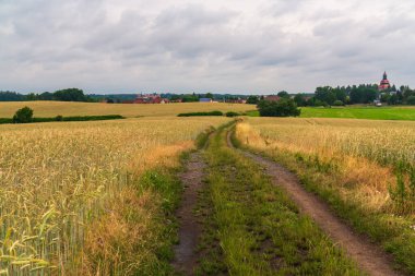 Kırsal toprak yol tarlalardan geçiyor. Yol mesafeye kadar uzanıyor, sakin kırsal alanlara doğru gidiyor. Huzurlu atmosfer kırsal yaşamı ve güzelliği yansıtıyor..