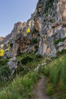 İspanya 'nın Mallorca adasının batısındaki kayalık dağlar arasındaki yolu gösteren güzel bir manzara. Yeşil çalıları olan Tramuntana Dağları. İspanya 'da popüler yürüyüş rotası.