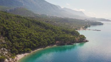 Hırvatistan 'ın Makarska kenti yakınlarındaki hava manzaralı kıyı şeridi, yoğun çam ormanları ve kristal berrak sularla kaplı dağlarla kaplı. Çarpıcı manzara, yemyeşil ve canlı deniz arasındaki zıtlığı vurguluyor. 