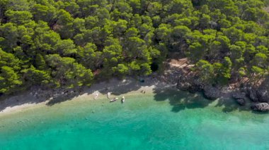 Hırvatistan 'ın Makarska Riviera kıyı şeridi manzaralı. Turkuaz su yeşil kıyı ağaçlarıyla buluşur. Suda sürüklenen SUP tahtaları. Atmosfer rahatlatıcı tatil ve açık hava aktiviteleri