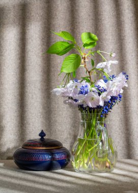 Bahar hala hayattır. Beyaz kiraz çiçekleri şeffaf cam vazoda mavi muscari ile birlikte, yanında tabut duruyor. Güneş ışığı güzel gölgeler yaratır. Bahar havası.