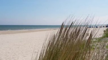 Kum tepelerindeki sahil çimlerine bakın. Klasik Alman plaj sandalyeleri, iplikçikler, plajda görülebilir. Kullanım Adası 'nda huzurlu bir tatil, doğal güzellikle tatil kültürünün unsurlarını birleştirmek..