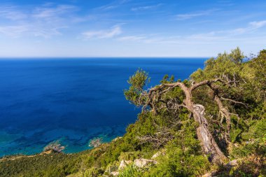 Pınar Amoros 'un el değmemiş sahil şeridini yakalayan insansız hava aracı görüntüsü. Dramatik kaya oluşumları ve turkuaz denizler uzak sükunet ve doğal güzelliği çağrıştırıyor..