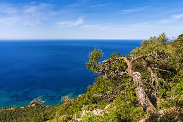 Pınar Amoros 'un el değmemiş sahil şeridini yakalayan insansız hava aracı görüntüsü. Dramatik kaya oluşumları ve turkuaz denizler uzak sükunet ve doğal güzelliği çağrıştırıyor..