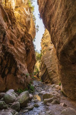 Kıbrıs Rum Kesimi 'ndeki Avakas Vadisi. Kireçtaşı uçurumları ve dar yolları olan doğal bir kanyon. Popüler yürüyüş rotası. Popüler kanyon manzarası, Paphos bölgesindeki turistik eğlence..