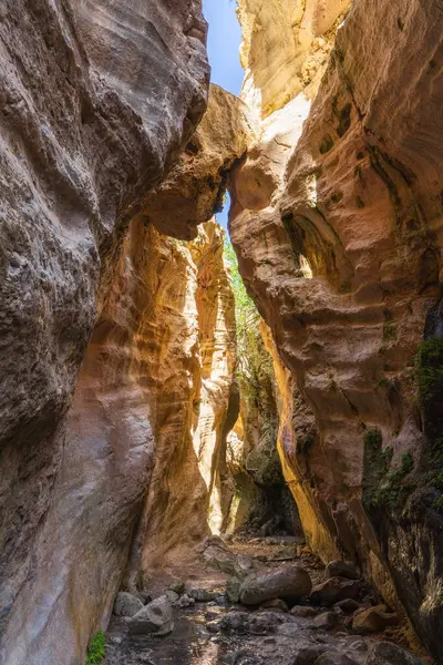 Kıbrıs 'taki Avakas Vadisi' nin güzel manzarası, Paphos bölgesinde ünlü bir kanyon ve yürüyüş yeri. Seyahat, turizm, aktif yaşam tarzı kavramı.