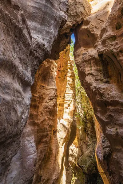 Kıbrıs 'ın başlıca ilgi alanlarından biri olan Avakas Vadisi' nin Paphos bölgesinde yer alıyor. Seyahat, turizm, aktif yaşam tarzı kavramı.