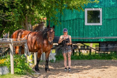 Kırsal at çiftliğinde güzel kahverengi ata liderlik eden genç bir kadın. Kırsal kesimdeki gerçek bağlantı, bakım ve binicilik yaşam tarzı.