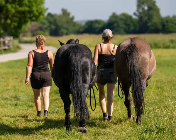 Bir yaz günü doğada atlara yeşil çimlerde liderlik eden iki genç kadın. Arkadan bak. Binicilik sporu kavramı, aktif eğlence, kırsal yaşam, doğayla uyum..