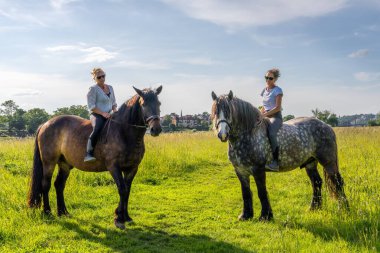 Uzun çim tarlasında ata binen iki kızla eyersiz binme sahnesi. Doğal ışıklandırma ve huzur ortamı özgürlüğü, bağlantıyı ve açık hava yaşam tarzını ön plana çıkarıyor.