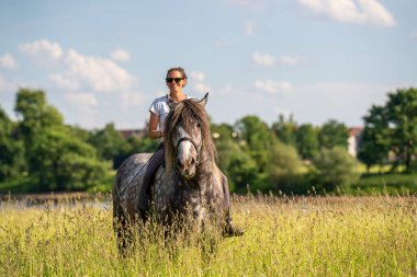 Güzel kadın yemyeşil tarlada dapple grisi ata biniyor. Huzurlu, güneşli kırsal manzara doğa, barış ve otantik kırsal yaşam tarzını yansıtıyor..