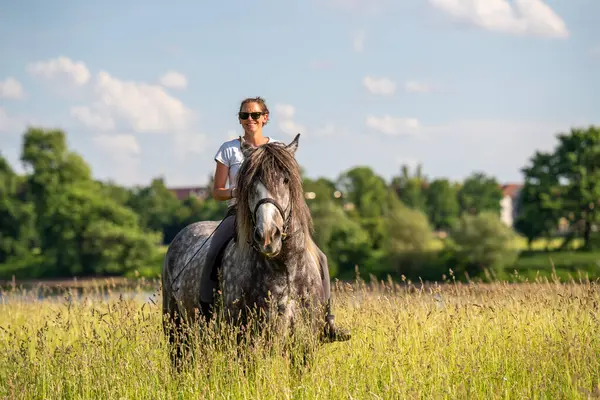 Güzel kadın yemyeşil tarlada dapple grisi ata biniyor. Huzurlu, güneşli kırsal manzara doğa, barış ve otantik kırsal yaşam tarzını yansıtıyor..