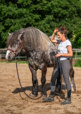 Binicilik sırasında çayırda Dapple Grey Horse 'u eğiten bir kadın binici. Binicilik sporu, hayvan bakımı ve güneşli bir günde insan etkileşimi..
