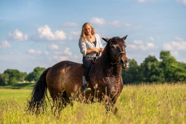 Güneşli kırsal yolda at sırtında at sürerken. Bir yaz gününde macera, sadelik ve otantik kırsal keşiflerin ruhunu yakalamak..