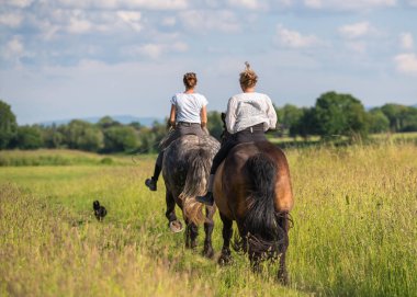 Arkadaşlar kırsal yolda at sürerken, arkadan bakıyorlar, önünde küçük bir köpek koşuyor. Barışçıl kırsal manzara arkadaşlığı yansıtıyor. Rahatlama ve evcil hayvanlarla arkadaşlık kavramı.