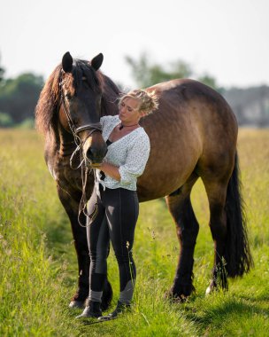 Çekici genç binici sahada duruyor, nazikçe okşuyor ve kahverengi atına şefkatle bakıyor. İnsan ve hayvan arasındaki derin bağı gösteren şefkatli bir an..