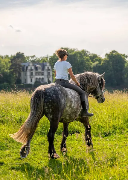 Sahada eyersiz gri ata binen zarif bir kadın. Arkadan bak. Güneşli bir gün, sakin kırsal atmosfer insan ve hayvan arasındaki özgürlüğü, güveni ve uyumu simgeliyor..