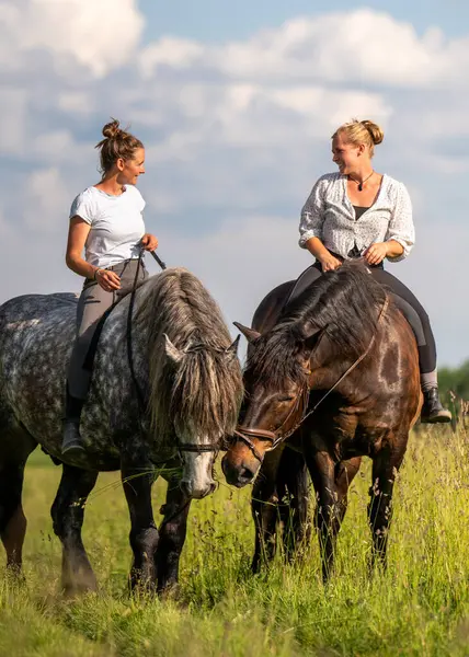İki dişi binici, yeşil çimenler ve açık alanla çevrili güneşli arazide yalınayak seyahat ediyor. Kırsal yaşam tarzı arkadaşlığı, basitliği, hayvanlarla güçlü bağı yansıtıyor..