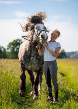 Dapple Grey Horse 'un neşeli ve hayat dolu sahnesi, neşe içinde kafasını sallayarak yelesini hareket ettiriyor. Genç binici yanında duruyor, gülümsüyor, spontane ve neşeli anın tadını çıkarıyor.