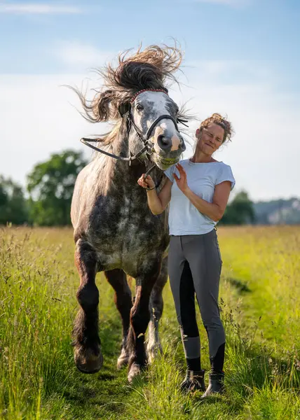 Dapple Grey Horse 'un neşeli ve hayat dolu sahnesi, neşe içinde kafasını sallayarak yelesini hareket ettiriyor. Genç binici yanında duruyor, gülümsüyor, spontane ve neşeli anın tadını çıkarıyor.