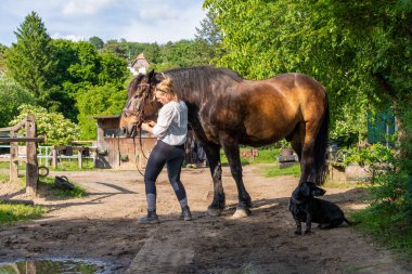 Otantik kırsal yaşam, bir kadın sadık siyah bir köpekle atını otlakta gezdirirken yakalanır. Amaç, sükunet ve bağlantıyla dolu huzurlu bir atmosfer..