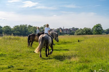 İki şık arkadaş güneşli bir günde canlı yeşil arazide çıplak atlara biniyor. Eğlenceli ve enerjik bir an. Özgürlük, doğa ve güçlü insan hayvan bağlantılarıyla dolu..