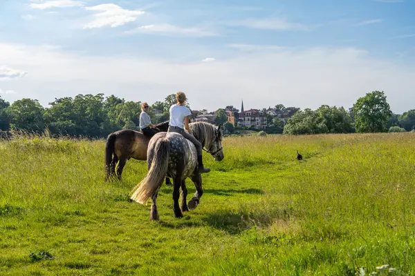 İki şık arkadaş güneşli bir günde canlı yeşil arazide çıplak atlara biniyor. Eğlenceli ve enerjik bir an. Özgürlük, doğa ve güçlü insan hayvan bağlantılarıyla dolu..