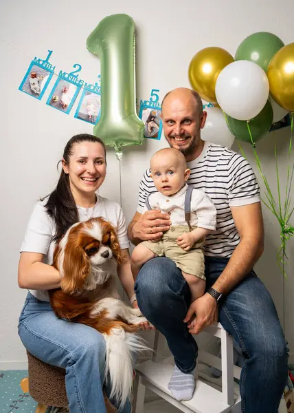 Gülümseyen ebeveynler, bir yaşındaki erkek bebekleri ve yakışıklı Şövalye Kral Charles Spaniel. Renkli balonlar neşeli, iç açıcı bir aile sahnesi yaratır..