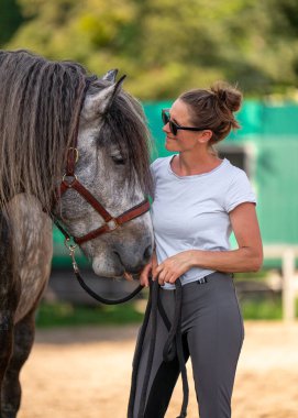 Dişi binici ve dapple grey at arasındaki hassas an. Kadın, kendisini yalarken atına sevgiyle bakar. İnsan hayvan bağı kavramı, binicilik hayatı, kırsal bağlantı..