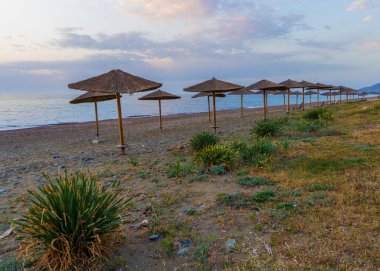 Güney Kıbrıs 'ta berrak mavi gökyüzü ve sakin denizli geleneksel saman plaj şemsiyeleri. Seyahat için ideal, sahil tatilleri, kıyı yaşam tarzı, yaz rahatlama kavramları.