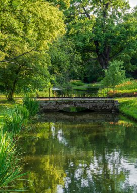 Güzel manzaralı sessiz şehir parkı yansıtan gölet ve büyüleyici yaya köprüsü. Suyun üzerinde yemyeşil yapraklı ağaçlar asılı. Rahatlama kavramları için ideal,