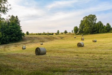 Sıcak ışıkla aydınlatılmış saman balyalarıyla yeni biçilmiş bir tarla. Kırsal yaşamı yansıtan sakin kırsal manzara, tarım gelenekleri, hasat zamanı.