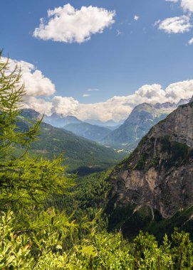 Ağaçların çerçevelediği Dolomite Alpleri 'nin manzarası dağ manzarasına doğal bir pencere açıyor. Huzurlu dağlık sahne doğa, seyahat, yürüyüş, açık hava temaları için idealdir..