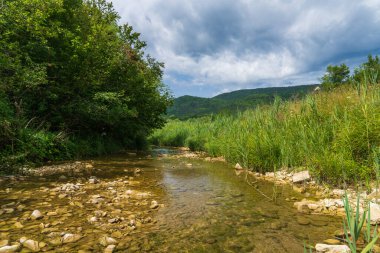 Hırvatistan 'da yemyeşil ve ağaçların arasından akan dağ deresi. Temiz su ve orman bitkileriyle dolu huzurlu bir doğa. Seyahat, doğa, eko temaları için ideal.