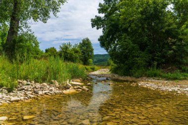 Hırvatistan 'daki yeşil ormandan akan temiz dağ deresi. Etrafı yemyeşil bitki ve ağaçlarla çevrili. Huzurlu doğal manzara seyahat ve doğa kavramları için mükemmel..