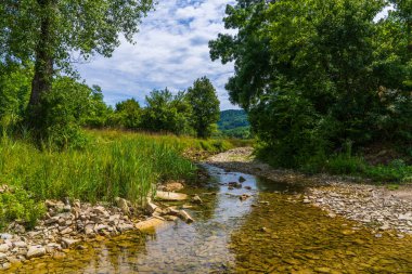 Yeşil bitkiler ve ağaçlar arasında akan küçük kırsal akarsu. Doğal bitki örtüsü olan huzurlu bir kır manzarası. Sakin, sakin atmosfer doğa için mükemmel, rahatlama temaları.