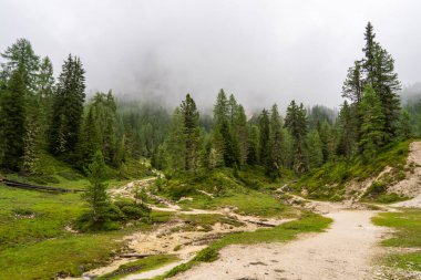 Dolomitler, İtalya 'da dağlık yürüyüş yolları yokuş yukarı yokuş yukarı yoğun sis bulutlarına karışıyor. Gizemli dağ atmosferi, kasvetli hava, görünürde zirve yok. Yalnızlık kavramı, vahşi doğa, keşif..