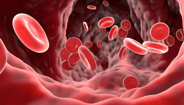 3d illustration of human red blood cells in vein, concept for medical health care.