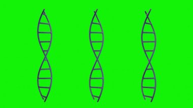 Genetik kodları ve soyut geometrisi olan gelecekçi Dönen Beyaz DNA İpliği. Dönen DNA iplikçiklerinin kusursuz döngü animasyonu. Model DNA sarmalının cam ve kristalden döndürülmesi