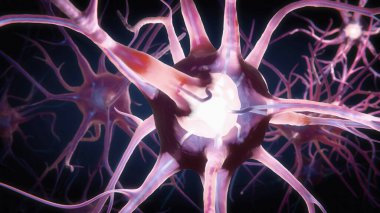 Beyindeki Macro Animasyon Nöronları. Hücreler Elektrik ve Kimyasal Sinyal Gönderiyor. 3d canlandırma canlandırması