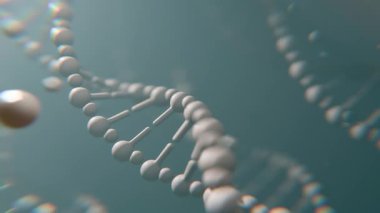 Animasyonsuz döngü parçacıklarından DNA molekülü. Beyaz görünüş, şeffaf. Eğitim, bilim veya kozmetik endüstrisinde kullanılabilir. Siyah arka plan ve Yeşil Ekran 'da. 3B Hazırlama.
