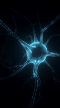 Elektron sinyalini algıla. Beyin bağlantısındaki nöral bağ. Beyindeki Macro Animasyon Nöronları. Hücreler Elektrik ve Kimyasal Sinyal Gönderiyor. 3d canlandırma canlandırması