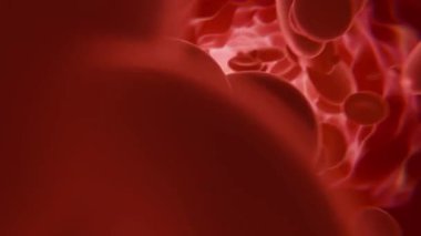 Sağlık konsepti. Kan damarının içinde, beyaz kan hücreleri damarın içinde, yüksek kalite 3D görüntüleme 4K. Kan hücreleri, animasyon tıbbi video