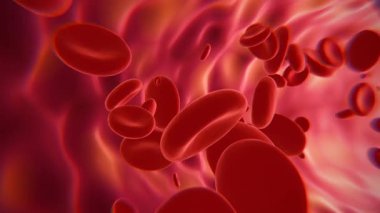 Red blood cells in an artery or blood vessel , flow inside body, medical human health-care. 3D Rendering.Blood cells in motion within an artery, showcasing scientific research, cardiovascular health