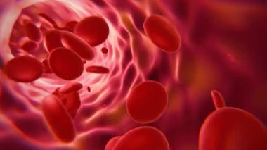 Red blood cells in an artery or blood vessel , flow inside body, medical human health-care. 3D Rendering.Blood cells in motion within an artery, showcasing scientific research, cardiovascular health