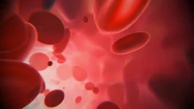Red blood cells in an artery or blood vessel , flow inside body, medical human health-care. 3D Rendering.Blood cells in motion within an artery, showcasing scientific research, cardiovascular health