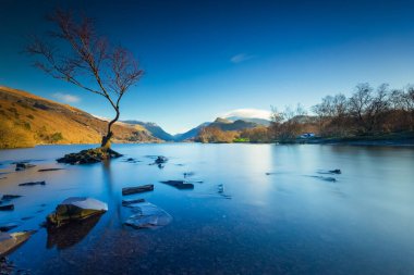 Lone Tree on Llyn Padarn, Snowdonia, Wales, UK.  Long exposure smooth water effect of the lake clipart