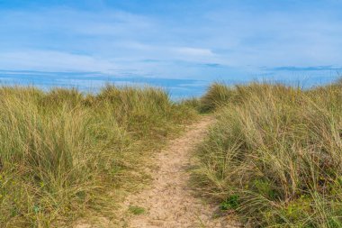 Sahildeki çimlerin arasından geçen yol.